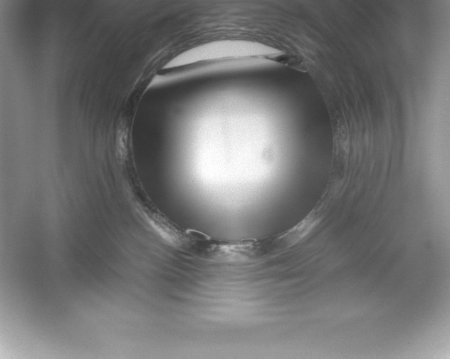 X0000052990188200508051117