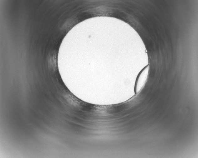 X0000052990190200508051117