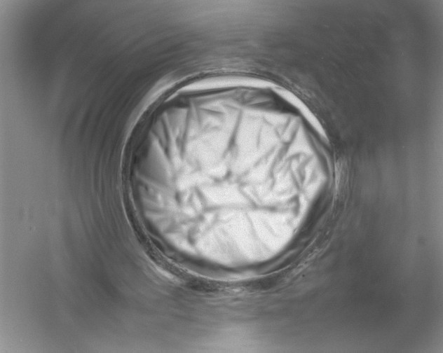 X0000052990195200508051117