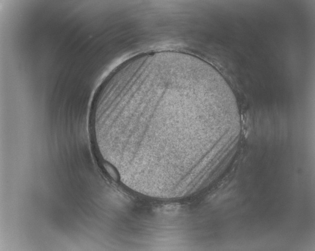 X0000052990196200508051117