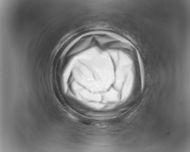 X0000052990199200508051117