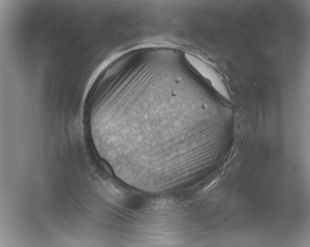 X0000052990200200508051117