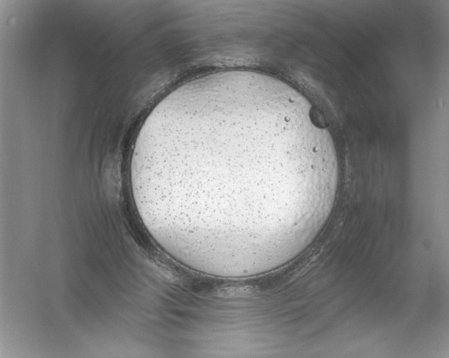 X0000052990202200508051117