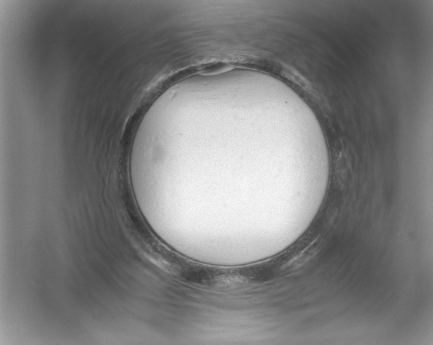 X0000052990203200508051116