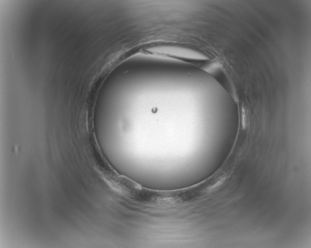 X0000052990205200508051116