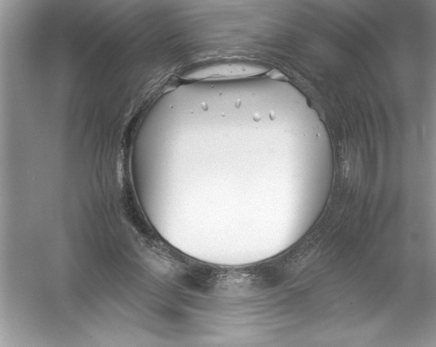 X0000052990206200508051116