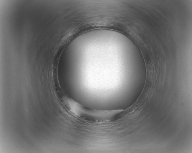 X0000052990207200508051116