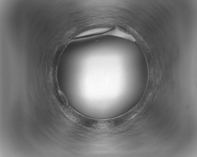 X0000052990209200508051116