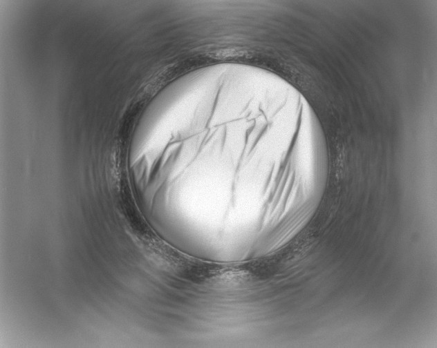 X0000052990210200508051116