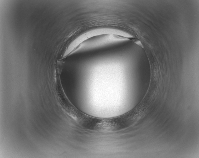 X0000052990211200508051116