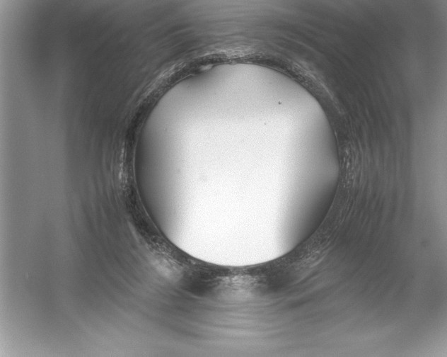 X0000052990212200508051116