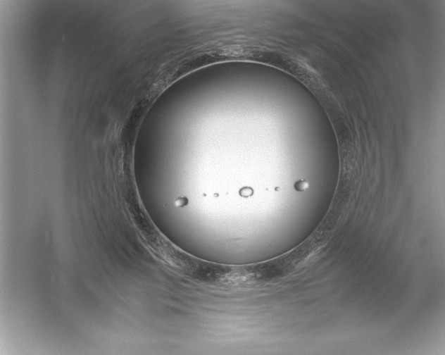 X0000052990213200508051116