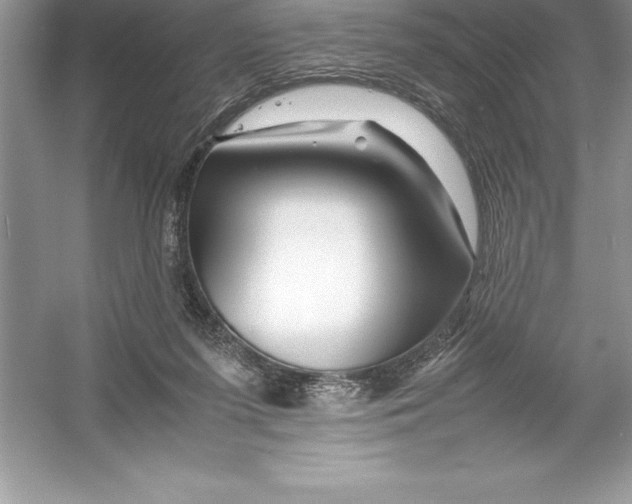 X0000052990215200508051116