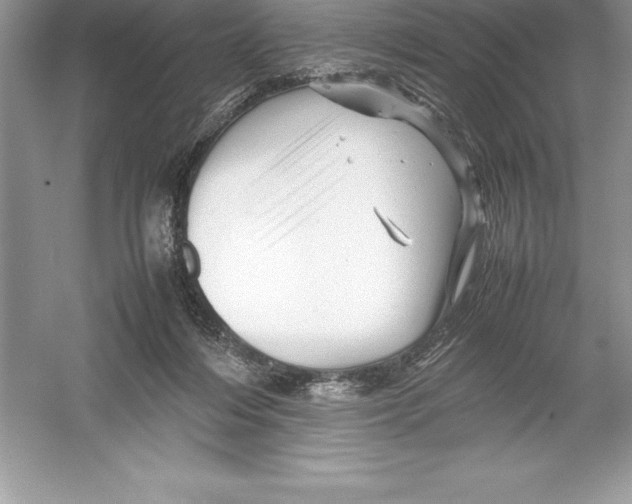 X0000052990216200508051116