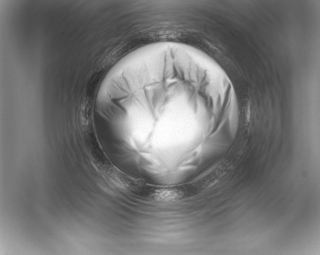 X0000052990218200508051116