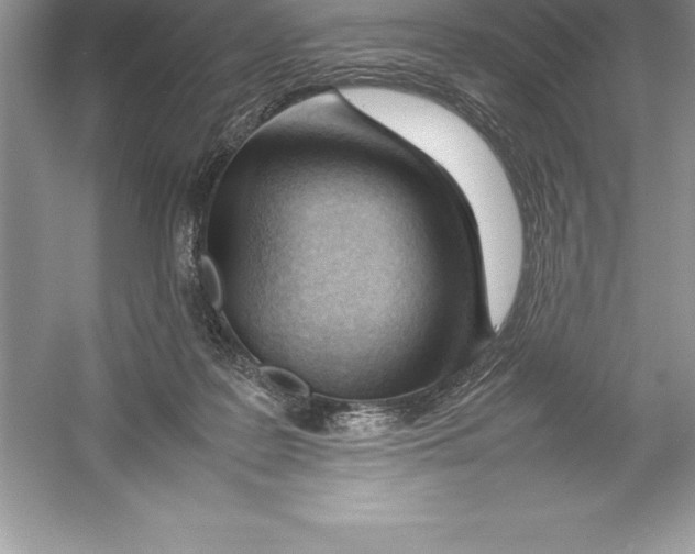 X0000052990219200508051116