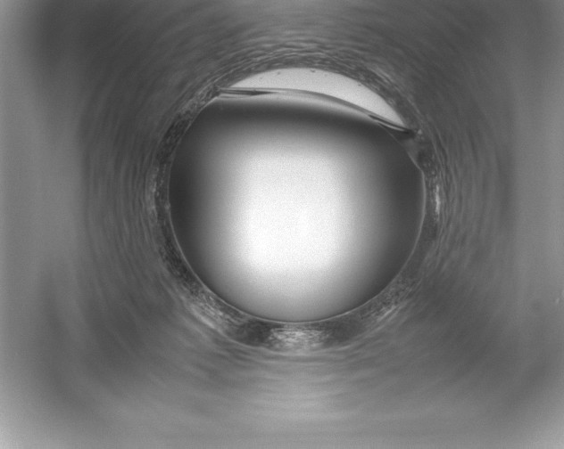 X0000052990221200508051116