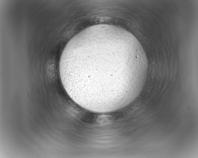 X0000052990222200508051116