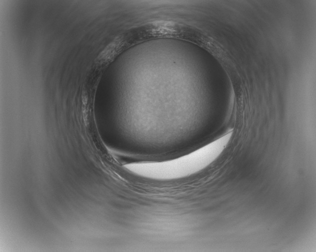 X0000052990223200508051116