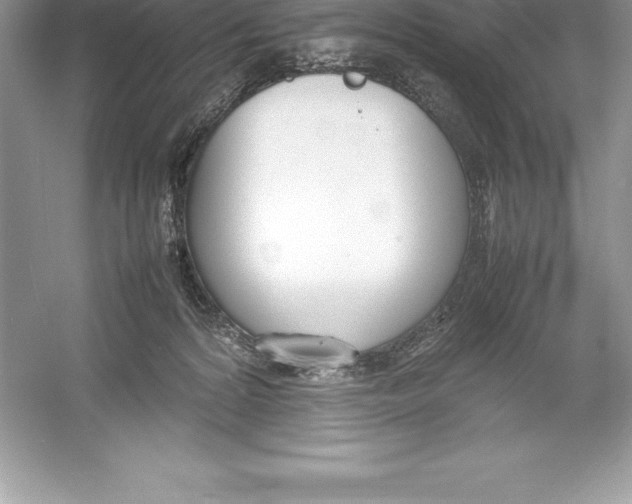 X0000052990224200508051116