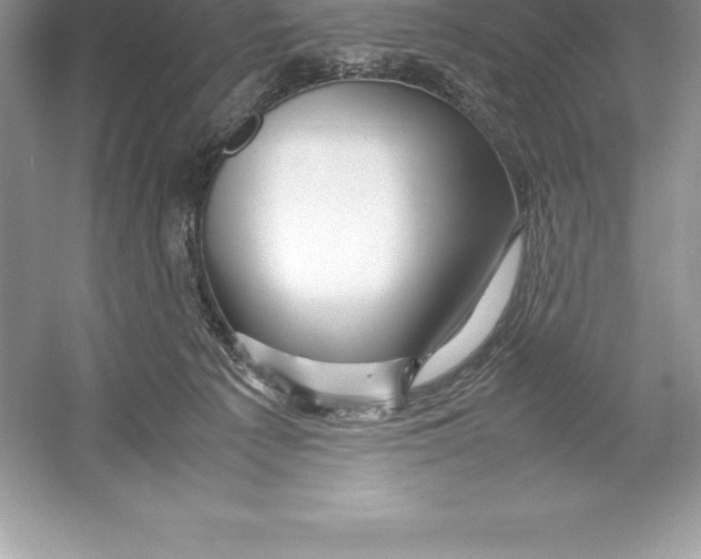 X0000052990225200508051116