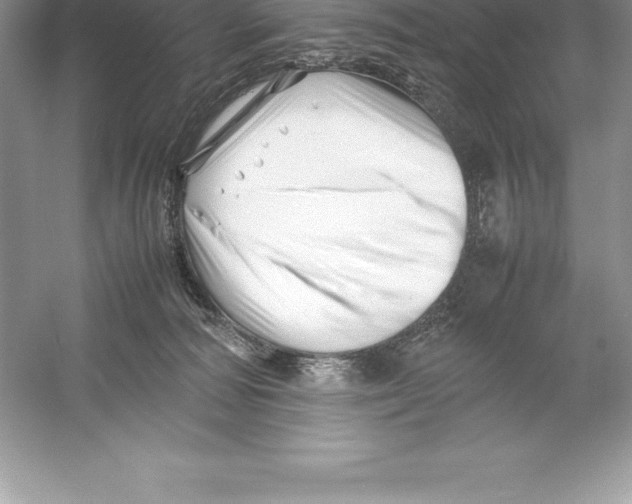 X0000052990226200508051116