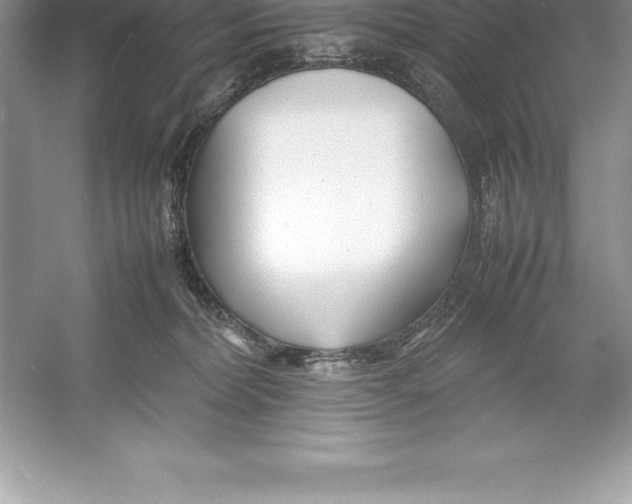 X0000052990228200508051116