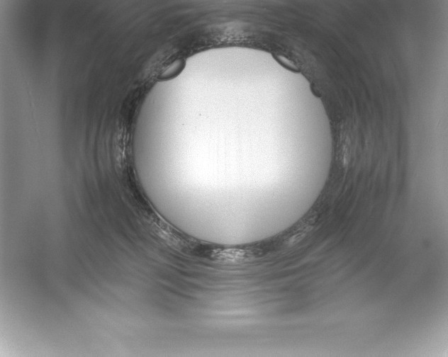 X0000052990230200508051116