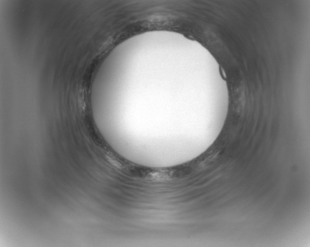 X0000052990232200508051116