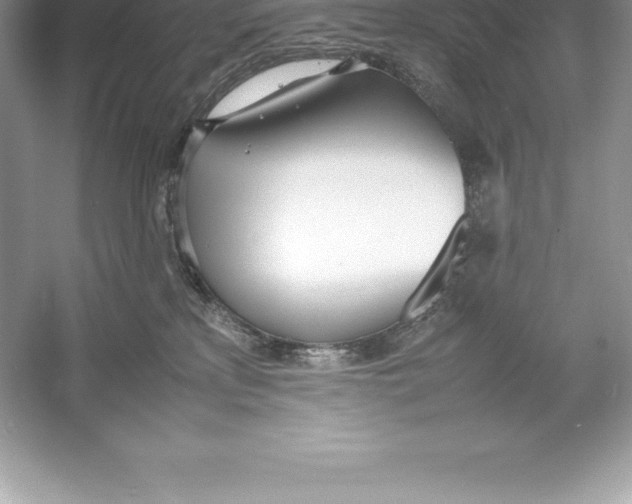 X0000052990233200508051116