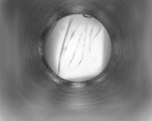 X0000052990234200508051116