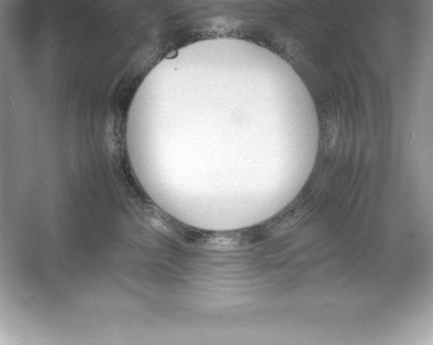 X0000052990236200508051116