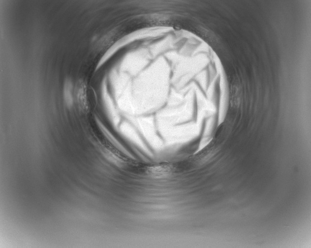 X0000052990238200508051116