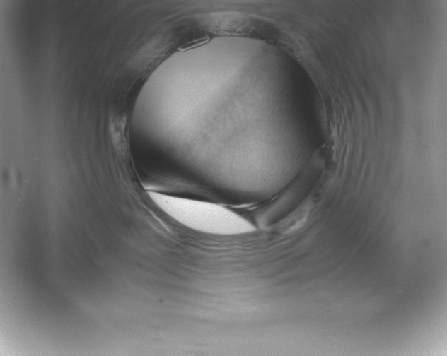 X0000052990239200508051116