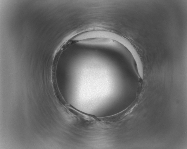 X0000052990244200508051115