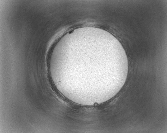 X0000052990245200508051115