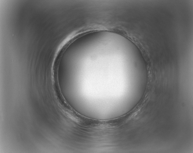 X0000052990246200508051115