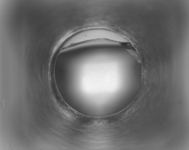 X0000052990248200508051115