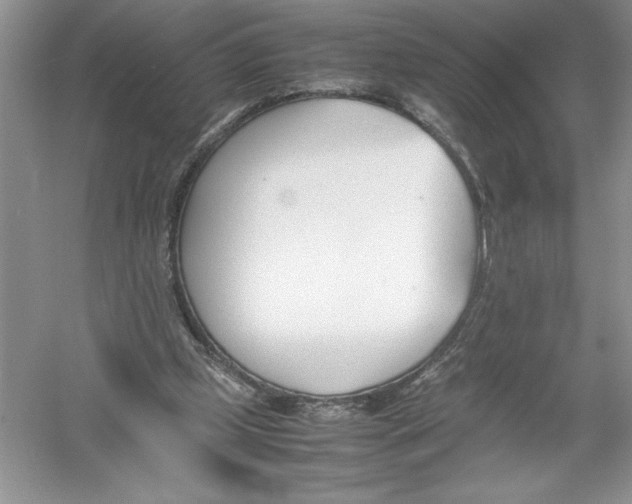 X0000052990249200508051115