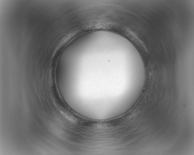 X0000052990250200508051115