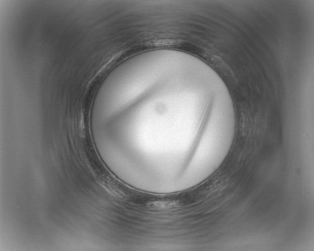 X0000052990251200508051115