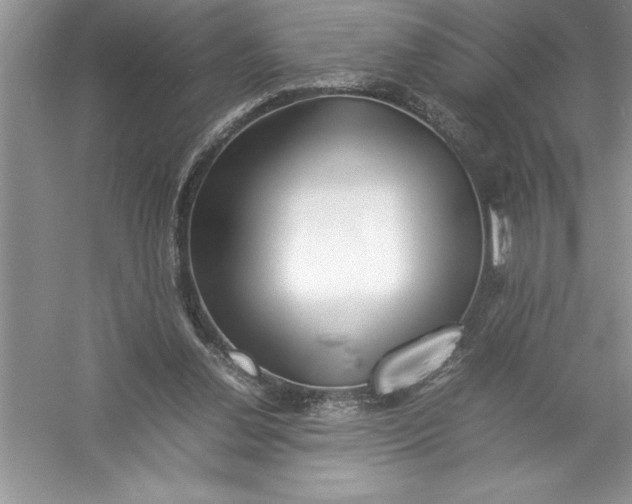 X0000052990252200508051115