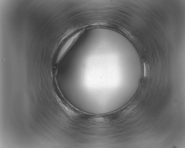 X0000052990253200508051115