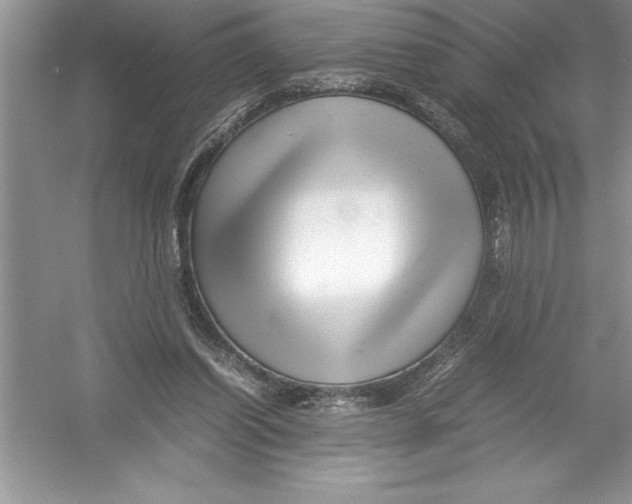 X0000052990254200508051115