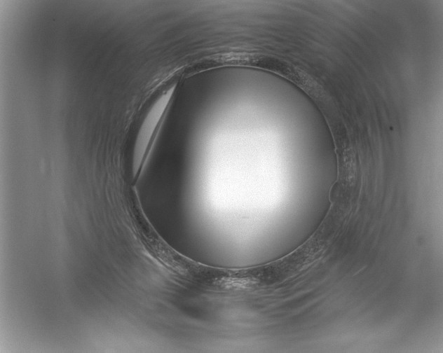 X0000052990255200508051115