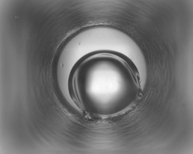 X0000052990256200508051115