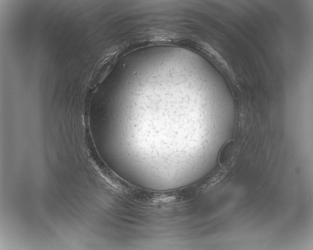 X0000052990257200508051115