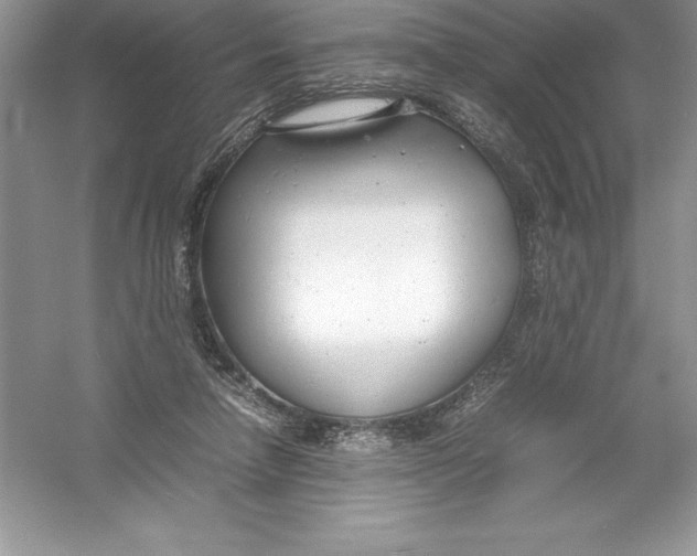 X0000052990258200508051115