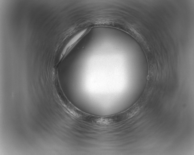 X0000052990261200508051115