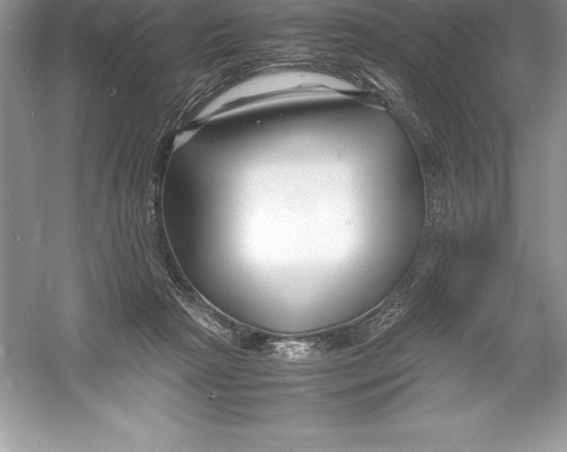 X0000052990265200508051115